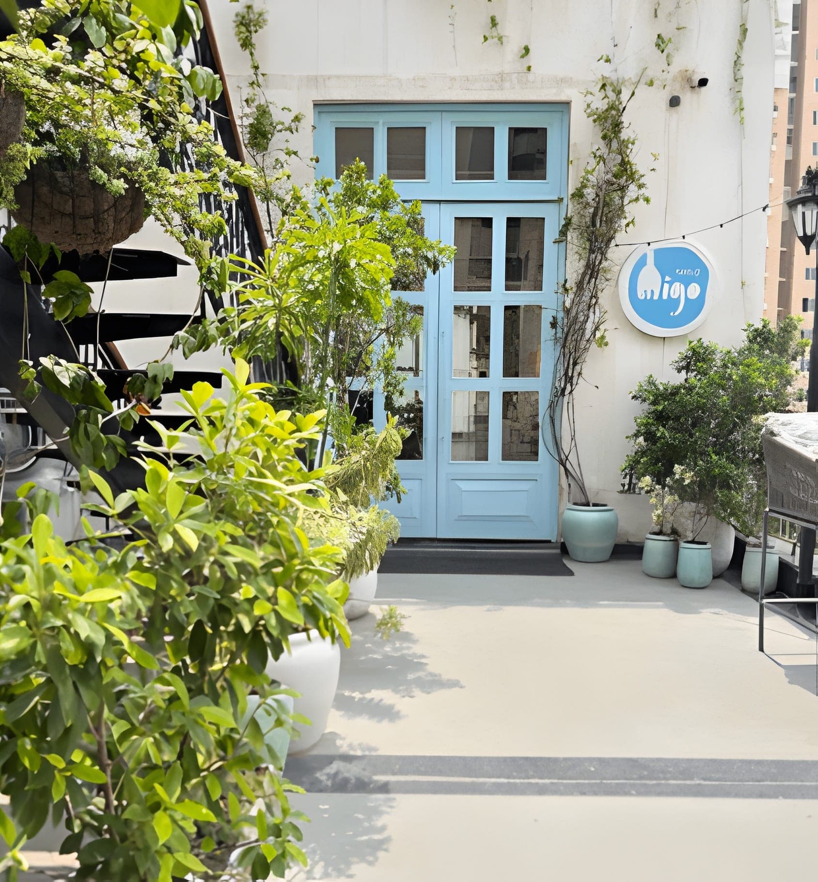 House-of-Migo image 3